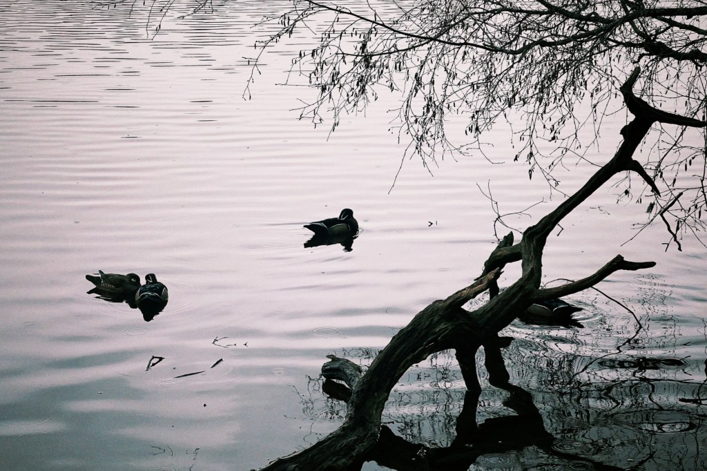 我回来了,回顾2025年3月的寒春